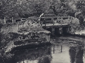 Bei Burcombe an der Nadder