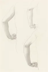 Studien eines Arms und von Händen