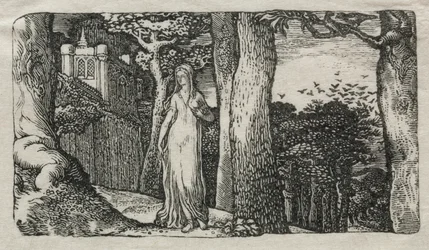 Die Dame und die Türme, 1829