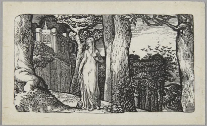 Die Dame mit den Saatkrähen