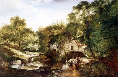 Eine bewaldete Flusslandschaft