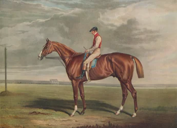 Velocipede, Gewinner des St. Leger