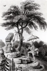 Ansicht des Passes von Quindio, Illustration aus 