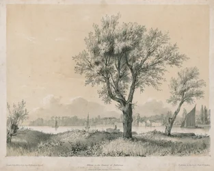 Weiden an der Themse bei Battersea
