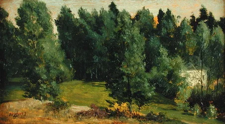 Eine bewaldete Landschaft