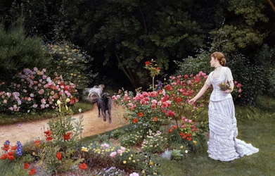 Die Ankunft 1878. Eine elegante Frau in einem weißen Kleid pflückt Blumen (Rosen) in einem Garten. In ihrer Nähe kommen Hunde an, die die Ankunft einer Person signalisieren.