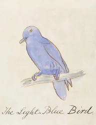 Der hellblaue Vogel, aus „Sechzehn Zeichnungen von Comic-Vögeln“
