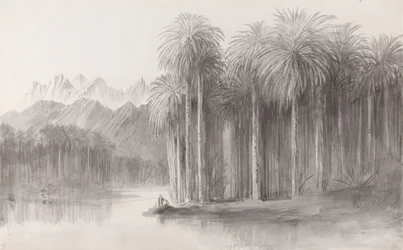 Wady Feiran, Halbinsel des Berges Sinai