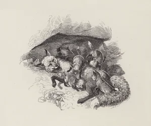 Illustration für Die Wasserkinder von Charles Kingsley