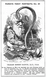 Charles Darwin (1809-1882), englischer Naturforscher. Evolution durch natürliche Selektion. Karikatur von Edward Linley Sambourne (1844-1910) aus der Reihe „Fancy Portrait“ in Punch, London 1881, dem Jahr, in dem Darwin Die Bildung der Ackererde durch die