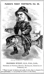 Thomas Henry Huxley, englischer Biologe, 1881