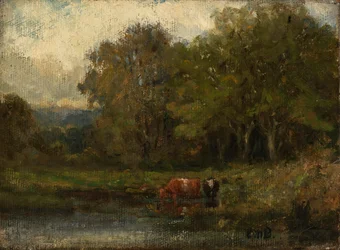 Landschaft