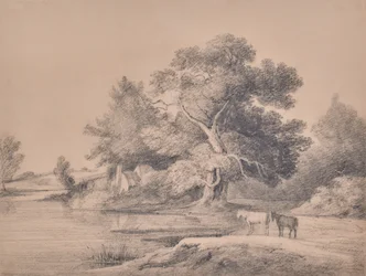 Landschaft mit Pferden am Fluss