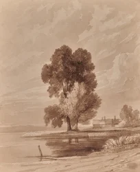 Landschaft mit Bäumen