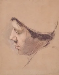 Profil eines Mannes