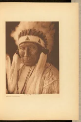 Elster - Cheyenne