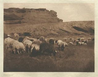 Portfolio I, Tafel 33: Navaho-Herden