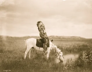 Oase in den Badlands 1905 (Foto)