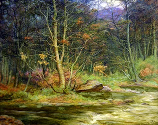 Ein Wald-Bachlauf