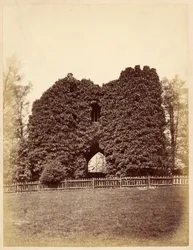 Ansicht eines Folly im Roundhay Park