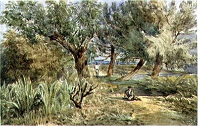 Battersea Fields