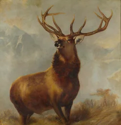 Monarch des Glen