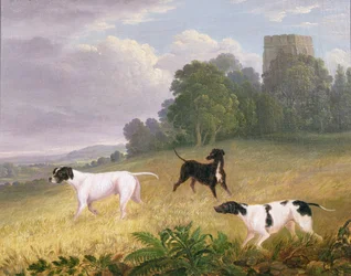 Zeiger in einer Landschaft