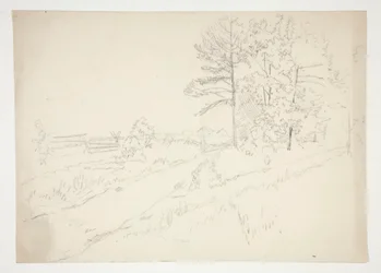 Landschaft mit durchlaufender Straße