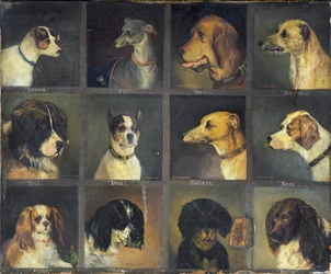 Zwölf Lieblingshunde, 1883