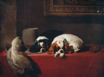 King Charles Spaniels, die Haustiere der Kavaliere, 1845, um 1915