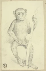 Orang-Utan