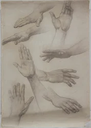Studien von Händen