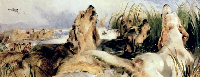 Otterhunde