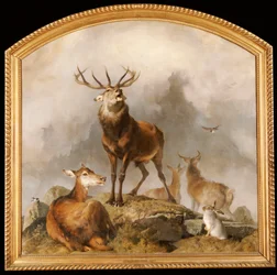 Szene in Braemar - Hochlandhirsche