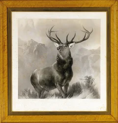 Der Monarch des Glen, 1852