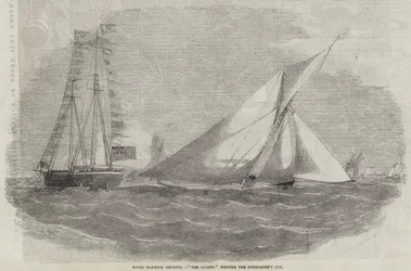 Königliche Harwich-Regatta, Die Amazon gewinnt den Commodore