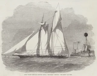 Royal Thames Yacht-Club Schooner Match, Die Shark umrundet das Mouse Light-Ship