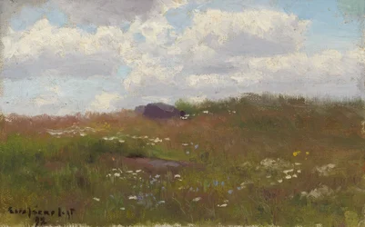 Wiese mit Sommerblumen