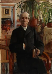 Porträt des Barons Johan Philip Palmén, Vizekanzler der Universität