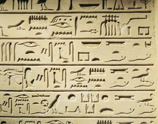 Grabstele des Majordomus Khentekhtayaun, Hieroglyphen mit Verwandtenliste des Verstorbenen