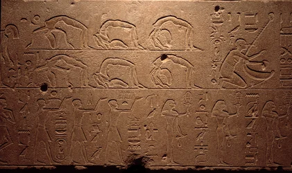 Ägyptische Antike: Detail eines gravierten Freskos, das Tänzer, Kontorsionisten und Musiker darstellt. Zeit der Königin Hatschepsut (18. Dynastie). Luxor, Ägyptisches Kunstmuseum