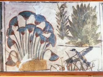 Malerei, die eine Ente zwischen Pflanzen darstellt, aus dem Palast von Echnaton, El-Awara, Ägypten