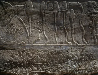Pflanzen, die von der Expedition Thutmosis III. in Syrien im Jahr 1465 v. Chr. zurückgebracht wurden, Detail eines Reliefs, Halle des sogenannten Botanischen Gartens, Tempel des Amun, Karnak-Tempelkomplex, ägyptische Zivilisation, Neues Reich, 18. Dynastie