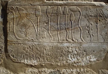 Relief von Tieren und Pflanzen, die Amun von Thutmosis III. nach seiner Rückkehr aus dem Syrienfeldzug 1465 v. Chr. angeboten wurden, Botanischer Gartenraum, Karnak, Thebanische Nekropole, Luxor, Ägypten, Neues Reich, 18. Dynastie