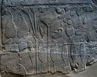 Darstellungen von Pflanzen und Tieren, die Thutmosis III. im Jahr 1465 v. Chr. aus Syrien mitgebracht hat, Detail eines Reliefs, Raum des sogenannten Botanischen Gartens, Karnak-Tempelkomplex (Unesco-Welterbeliste)