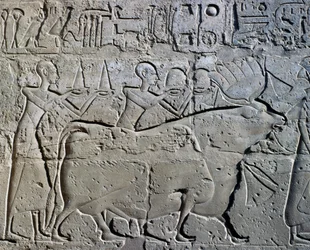 Charaktere, die Bergbaudistrikte symbolisieren und ihre Tribute an den Gott bringen, Relief, Ramses II Hof, Tempel des Amun (Unesco-Welterbeliste)