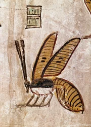 Ägyptische Kunst: Grab von Sethos I. (Detail der Biene)