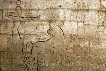 Ägyptische Altertümer: Ansicht der Reliefs, die die Taten Ramses