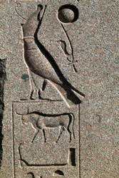 Hieroglyphe mit dem Namen von Horus, Großer Tempel von Amun, Tanis, Ägypten, Neues Reich, Dynastie XIX