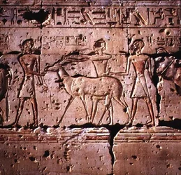 Relief, das Oryx zeigt, die zur Opferung in Prozession geführt werden, aus dem Tempel von Ramses II., Neues Reich